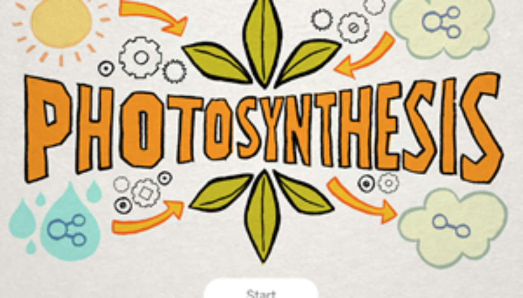 Photosynthesis.fw