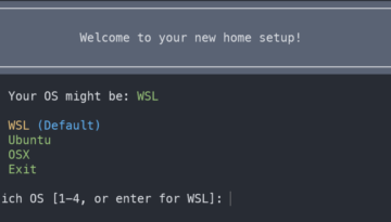 Script output